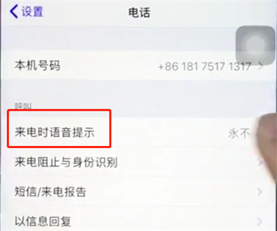 ios12中打开来电语音播报的详细步骤截图