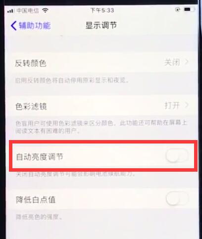 ios12关闭自动亮度调节的操作方法截图