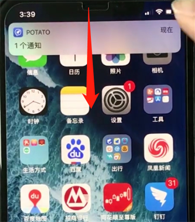 iphonexs中关闭横屏的操作步骤截图