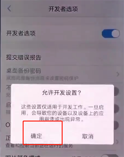 vivox20中打开开发者选项的简单步骤截图