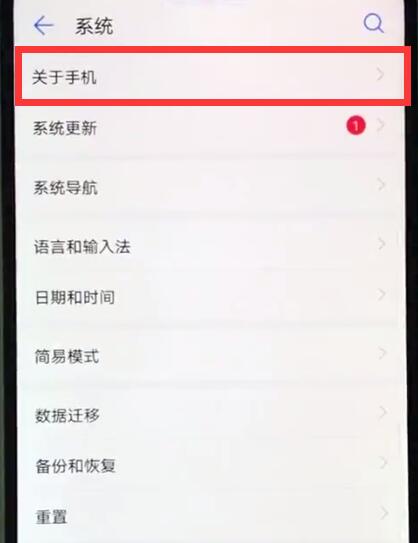 华为nova3e中查真伪的简单步骤截图