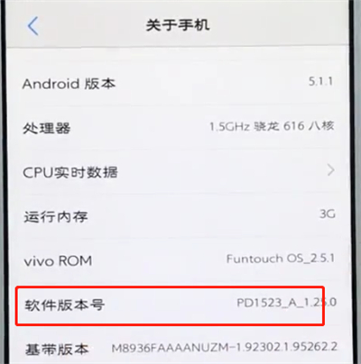 vivo手机中打开开发者选项的简单步骤截图