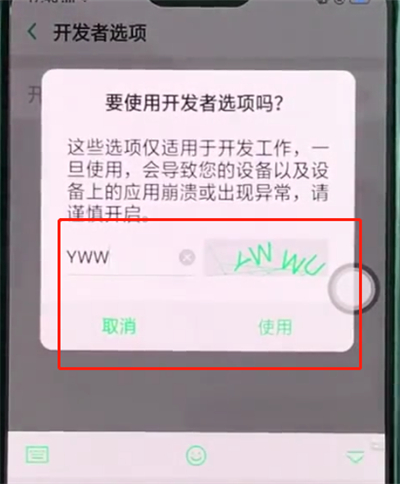 oppor15中开启开发者选项的详细步骤截图