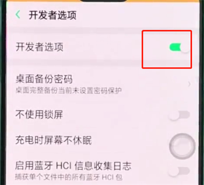 oppor15中开启开发者选项的详细步骤截图