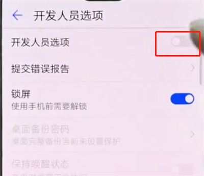 华为p20pro中打开开发者选项的简单方法截图