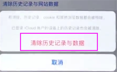 苹果6plus中清除Safari浏览器缓存的简单步骤截图