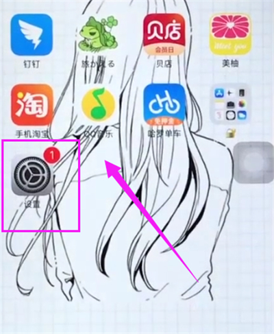 苹果6plus中打开相机网格的操作步骤截图