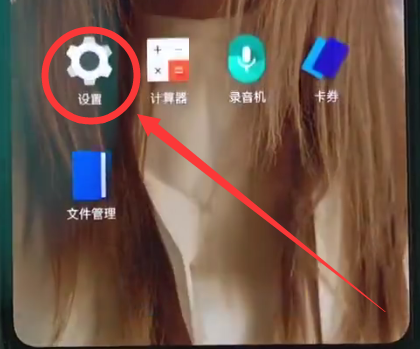 一加6中开启抬手亮屏的操作步骤截图