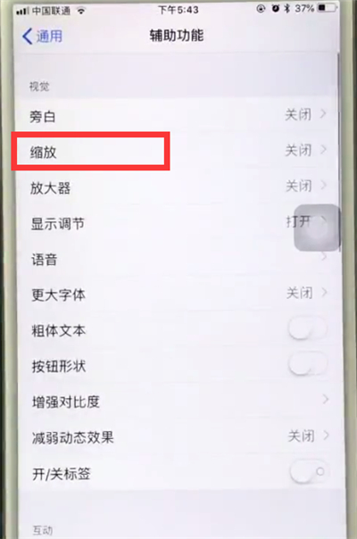 苹果6plus中使用缩放的操作步骤截图