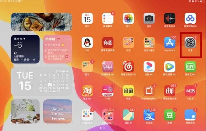 ipad2020小圆点怎么设置 ipad2020小圆点设置教程截图