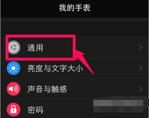 Applewatchseries6怎么更新系统?Applewatchseries6更新系统教程截图