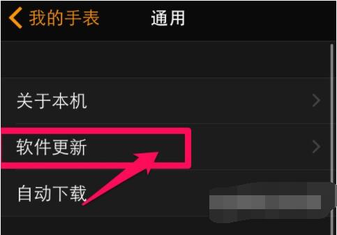 Applewatchseries6怎么更新系统?Applewatchseries6更新系统教程截图