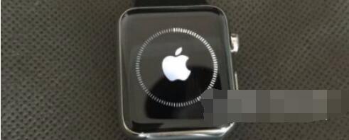 Applewatchseries6怎么更新系统?Applewatchseries6更新系统教程截图