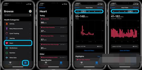 Applewatch6怎么查看心率数据？Applewatch6查看心率数据的方法截图