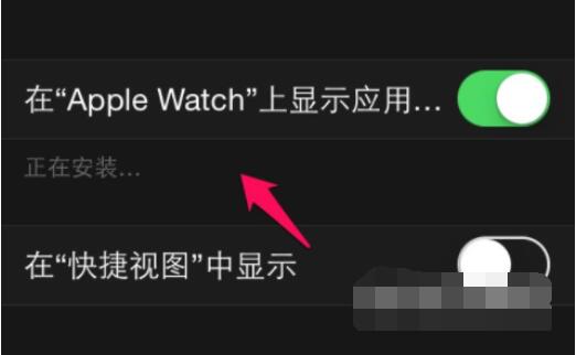 Applewatch6怎么下载软件？Applewatch6下载软件的方法截图