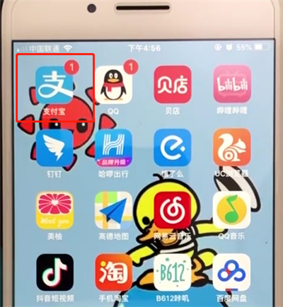 支付宝中通过会员名添加好友的操作教程截图