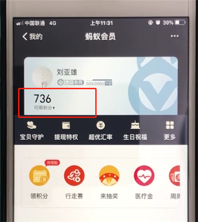 支付宝查看蚂蚁会员积分的简单操作截图
