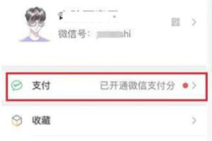 微信支付分进行关闭的操作方法截图