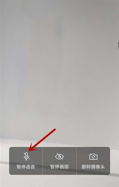 企业微信视频会议关闭语音方法截图