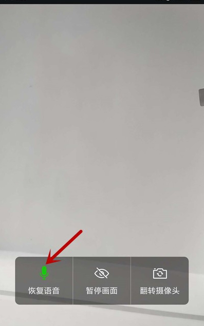 企业微信视频会议关闭语音方法截图
