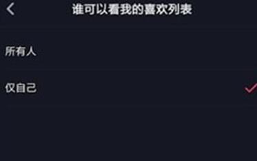 抖音查看别人隐藏的视频的操作流程截图