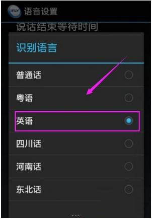 讯飞输入法设置识别语言的操作教程截图