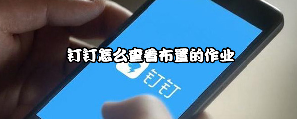 小编分享钉钉如何查看布置的作业。