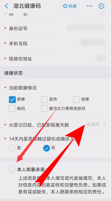 支付宝如何申请湖北健康码