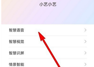 1586419086432885.png 华为p40pro怎么打开来电时使用语音控制