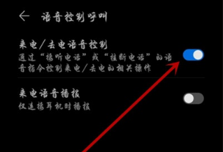 1586419113910002.png 华为p40pro怎么打开来电时使用语音控制