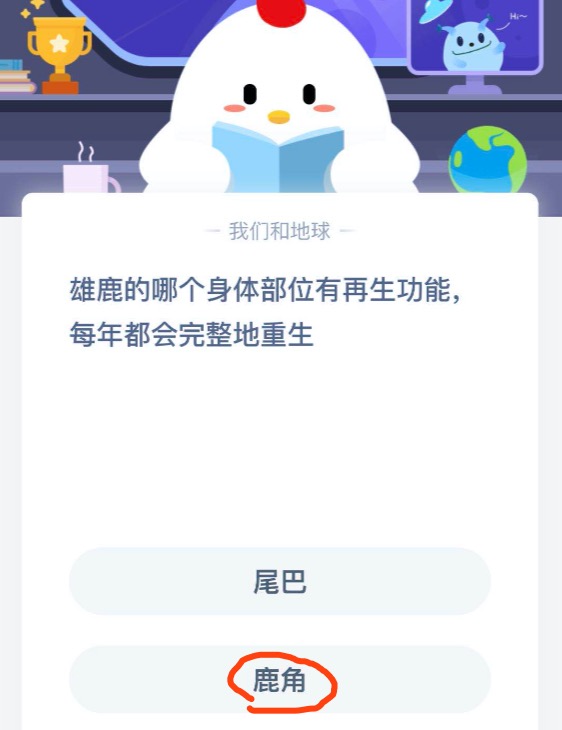 今天分享雄鹿的哪个身体部位有再生功能每年都会完整地重生。