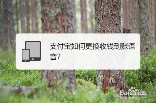 今天说说支付宝到账语音如何更换成方言。