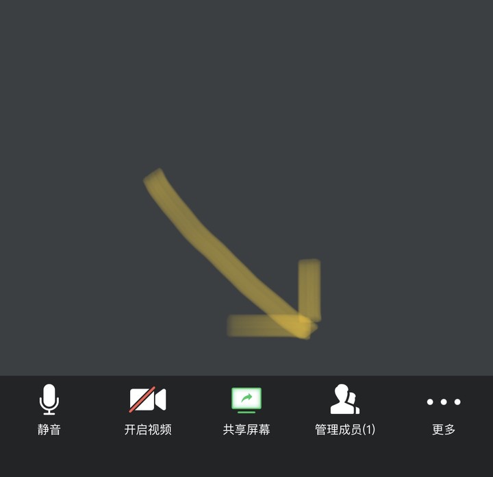 我来教你腾讯会议老师如何点名。