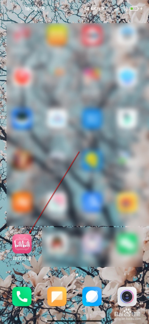 关于哔哩哔哩如何看消费记录。