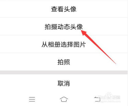 手机QQ动态头像如何设置