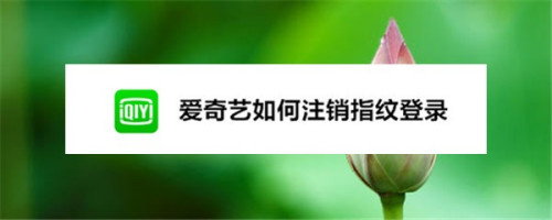 关于爱奇艺如何关掉指纹登录。