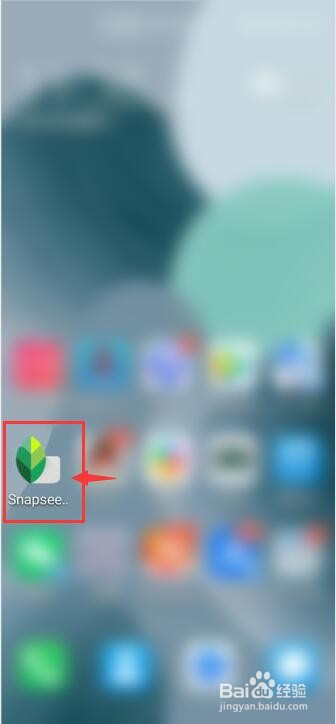 Snapseed如何给图片打优质马赛克