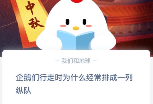 小编教你企鹅们行走时为什么经常排成一列纵队。