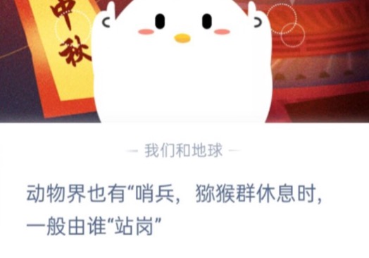 小编教你动物界也有哨兵，猕猴群休息时，一般由谁站岗。