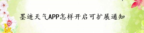 小编教你墨迹天气如何开启可扩展通知。