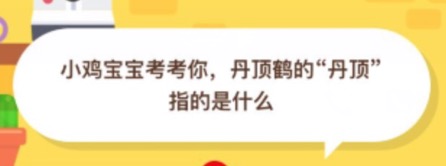 丹顶鹤的丹顶指的是什么?支付宝蚂蚁庄园10月12日正确答案