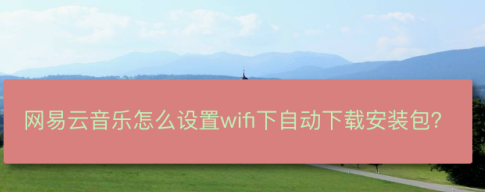 小编教你网易云音乐如何设置WiFi网络自动下载安装包。