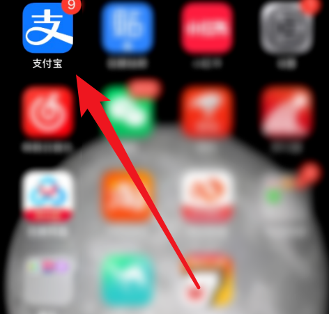 我来教你支付宝在什么地方查看快递公司信息。