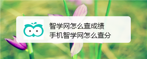 今天分享智学网如何查学生成绩。