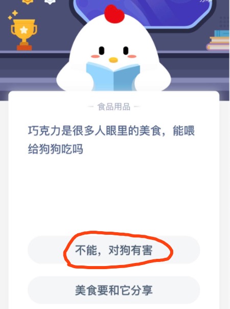 关于巧克力是很多人眼里的美食能喂给狗狗吃吗。