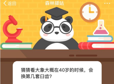 小编分享猜猜看大象大概在40岁的时候，会换第几套臼齿。