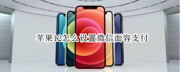 小编分享iphone12微信面容支付如何设置。