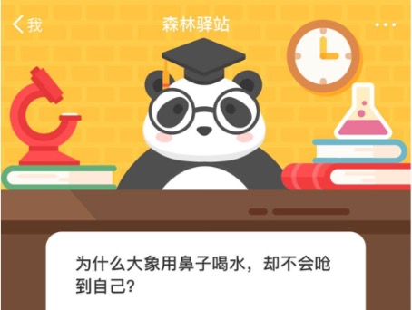 今天说说为什么大象用鼻子喝水，却不会呛到自己。