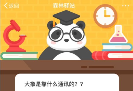 今天分享大象是靠什么通讯的。