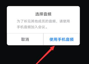 腾讯会议进入会议没有声音的解决方法截图